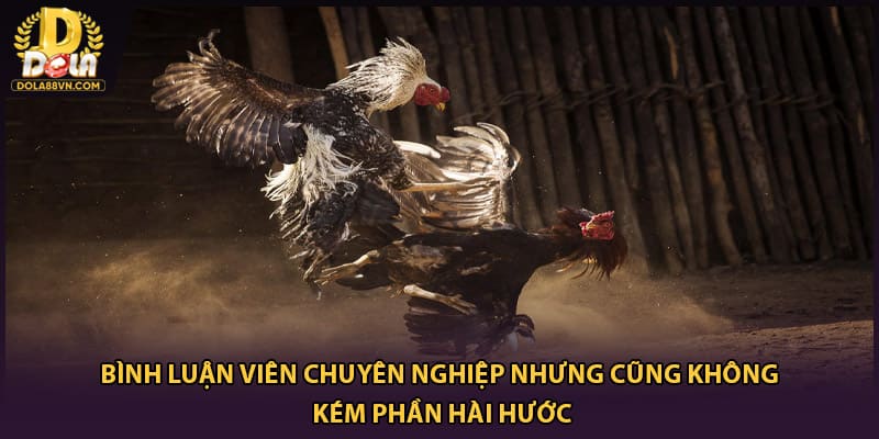 Bình luận viên chuyên nghiệp nhưng cũng không kém phần hài hước