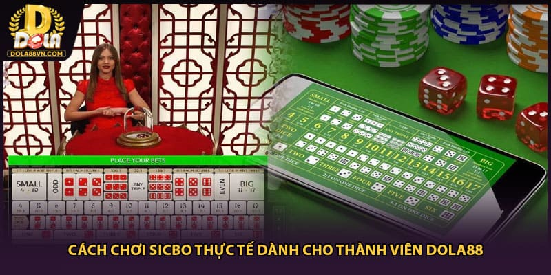 Cách Chơi Sicbo Thực Tế Dành Cho Thành Viên Dola88