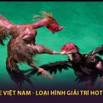 Đá Gà Tre Việt Nam - Loại Hình Giải Trí Siêu Hot Hiện Nay