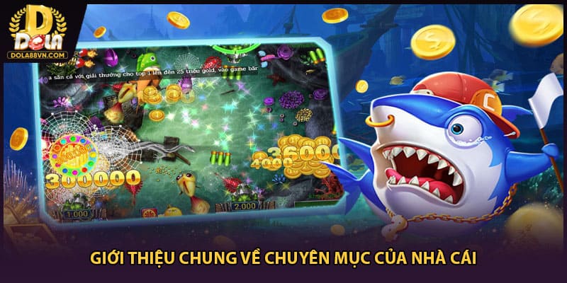 Giới thiệu chung về chuyên mục của nhà cái