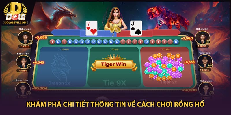 Khám phá chi tiết thông tin về cách chơi rồng hổ