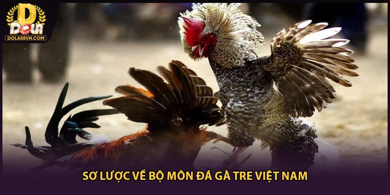 Sơ lược về bộ môn đá gà tre Việt Nam