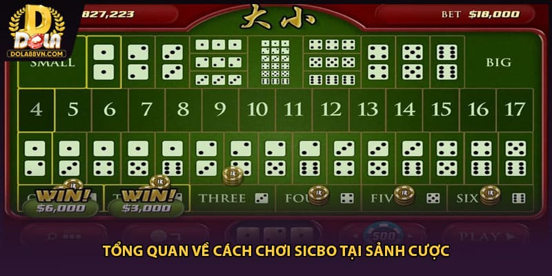 Tổng quan cách chơi Poker tại trang Dola88