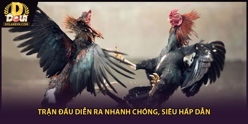 Trận đấu diễn ra nhanh chóng, siêu hấp dẫn
